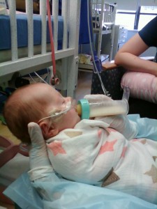 First Feeding Session