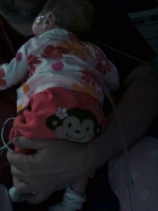 Monkey butt