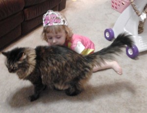 Here kitty, kitty
