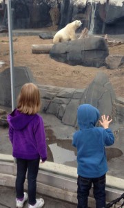 Five and 2 1/2 year old looking at 3 year old polar bear