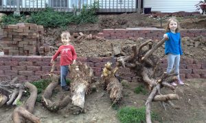 Kids-with-stumps