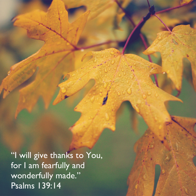 Psalm 139:14