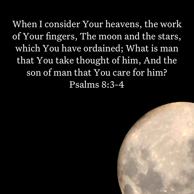 Psalm 8:3-4