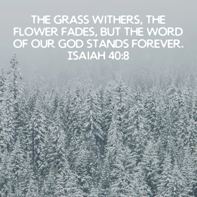 Isaiah 40:8