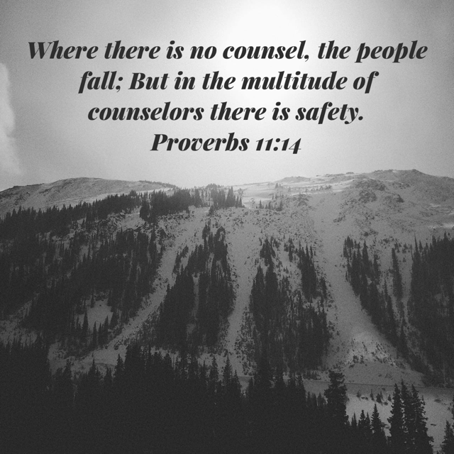 Proverbs 11:14
