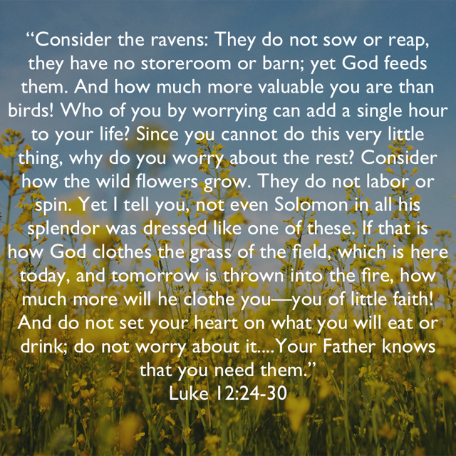 Luke 12:24-30