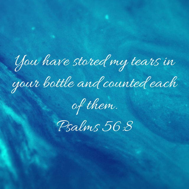Psalm 56:8